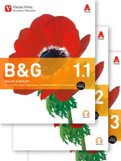 B&g 1 trim murcia+3cd´s+annex b (3d class)