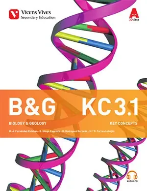 B&g 3 (3.1-3.2) key concepts+ 2cd´s