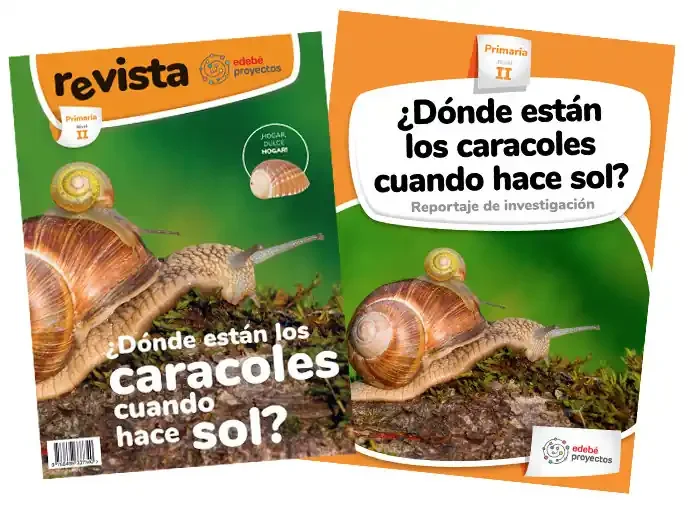 ¿DÓNDE ESTÁN LOS CARACOLES CUANDO HACE SOL? (Reportaje de investigación)